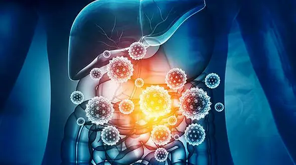 شدت کرونا به چه عواملی وابسته است؟