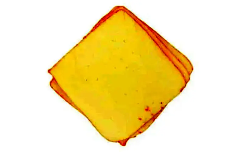 پنیر مونستر