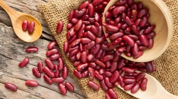 کاهش وزن با لوبیای سحرآمیز
