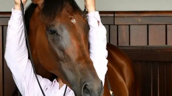 مجموعه عکس های خارق العاده از خطاهای دید +گزارش تصویری 