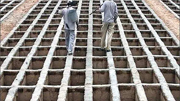 گورستان‌خواری در دماوند!