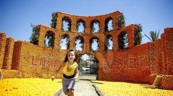 جشنواره مجسمه های ساخته شده با پرتقال و لیمو + عکس 