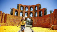 جشنواره مجسمه های ساخته شده با پرتقال و لیمو + عکس 