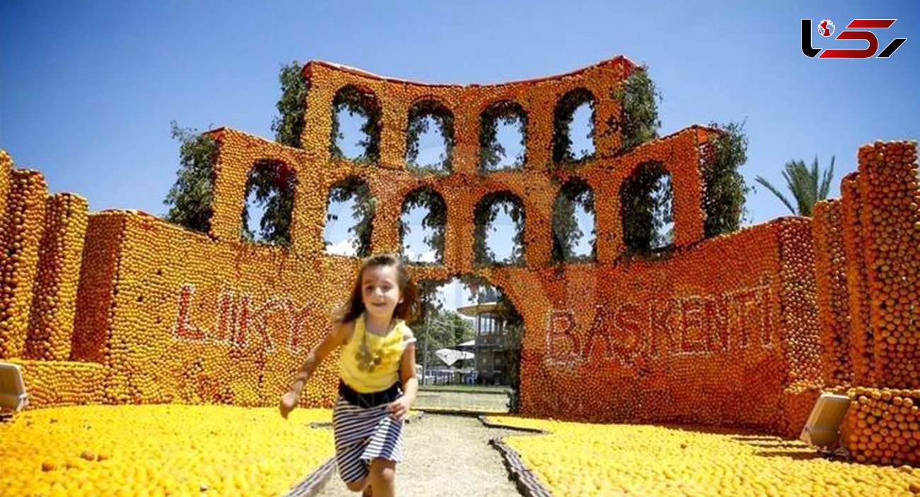 جشنواره مجسمه های ساخته شده با پرتقال و لیمو + عکس 