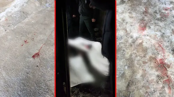 دستور آزمایش دی ان ای برای شناسایی اجساد سوخته ساختمان نیمه ساز پارک وی + فیلم و جزییات 