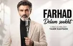 دانلود آهنگ فرهاد دلم سوخت برا حالی که دارم چه باشم چه نباشم