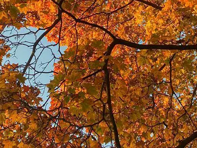 فال و طالع امروز 29 بهمن 