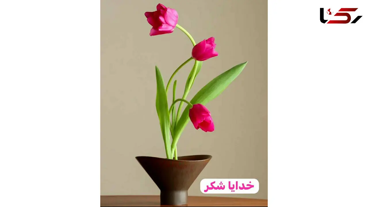 فال روزانه 31 فروردین + فیلم
