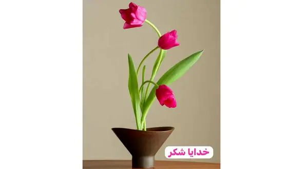 فال روزانه 31 فروردین + فیلم