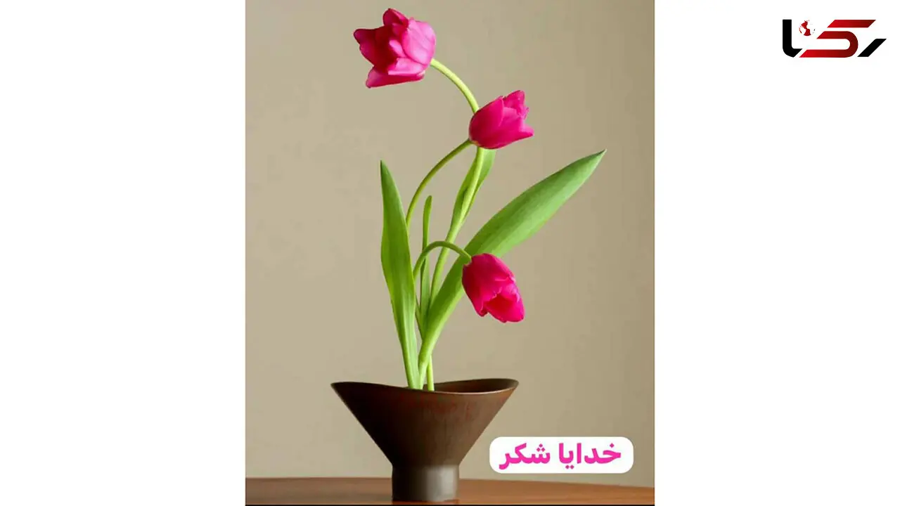 فال روزانه 31 فروردین + فیلم