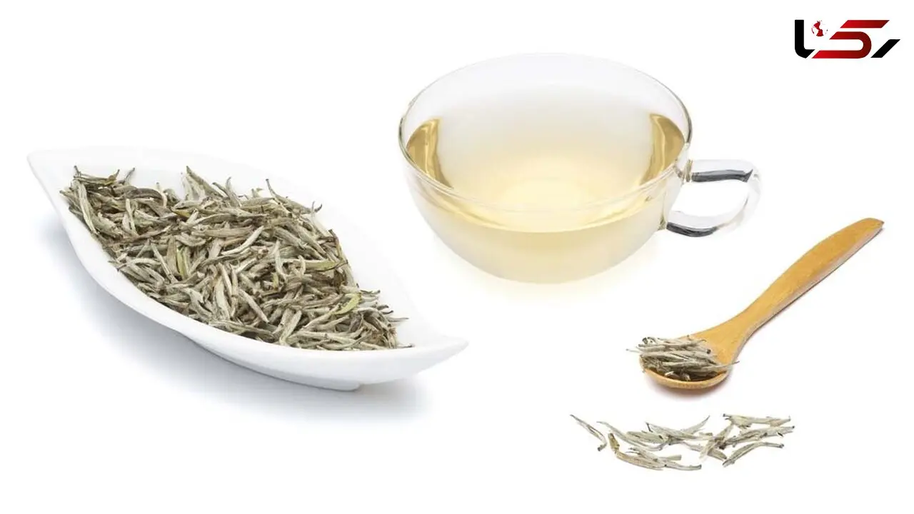 خواص نهفته در چای سفید
