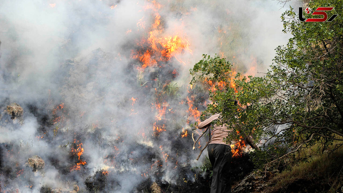 آتش سوزی 3 هکتاری در جنگل های سنندج