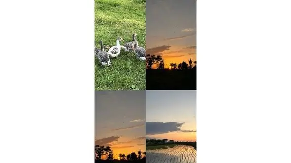 فال و طالع بینی امروز 22 خرداد / فیلم