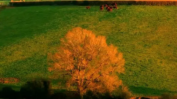 همه چیز از باور شما شروع میشود