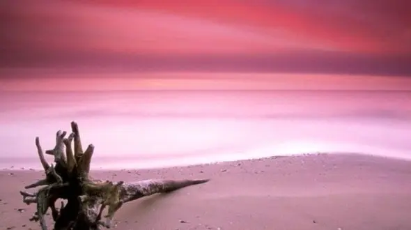 ساحل شن های صورتی در جزیره باهاما/مکانی زیبا برای گردشگران