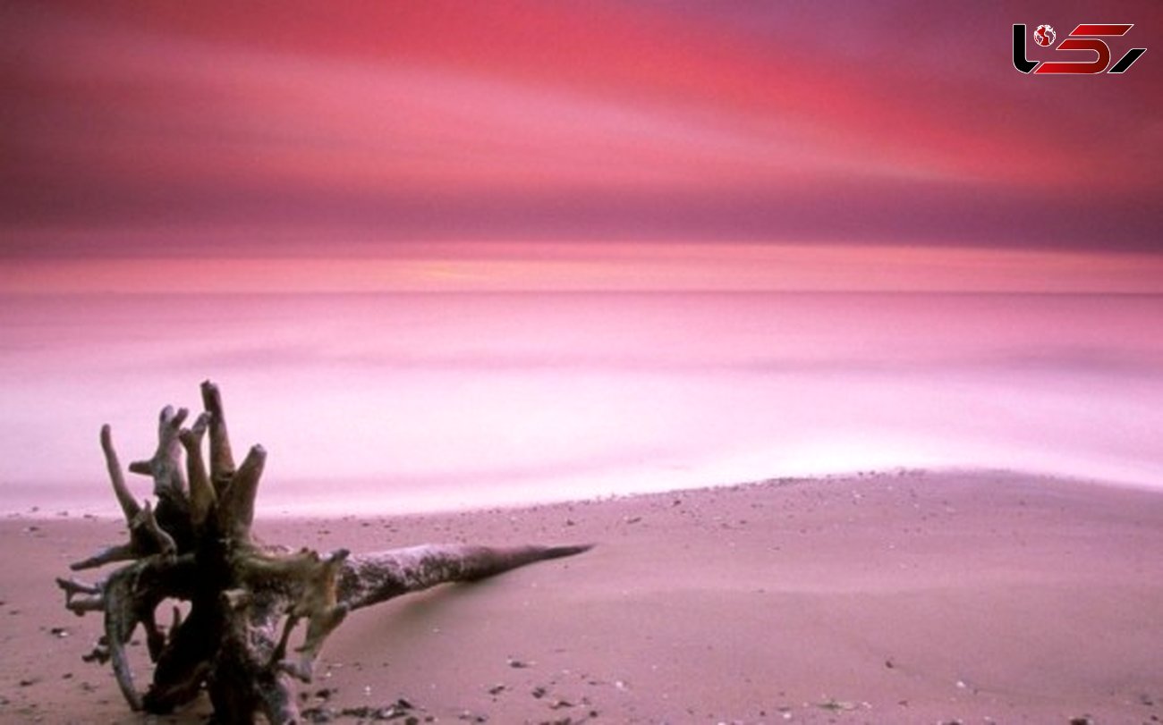 ساحل شن های صورتی در جزیره باهاما/مکانی زیبا برای گردشگران