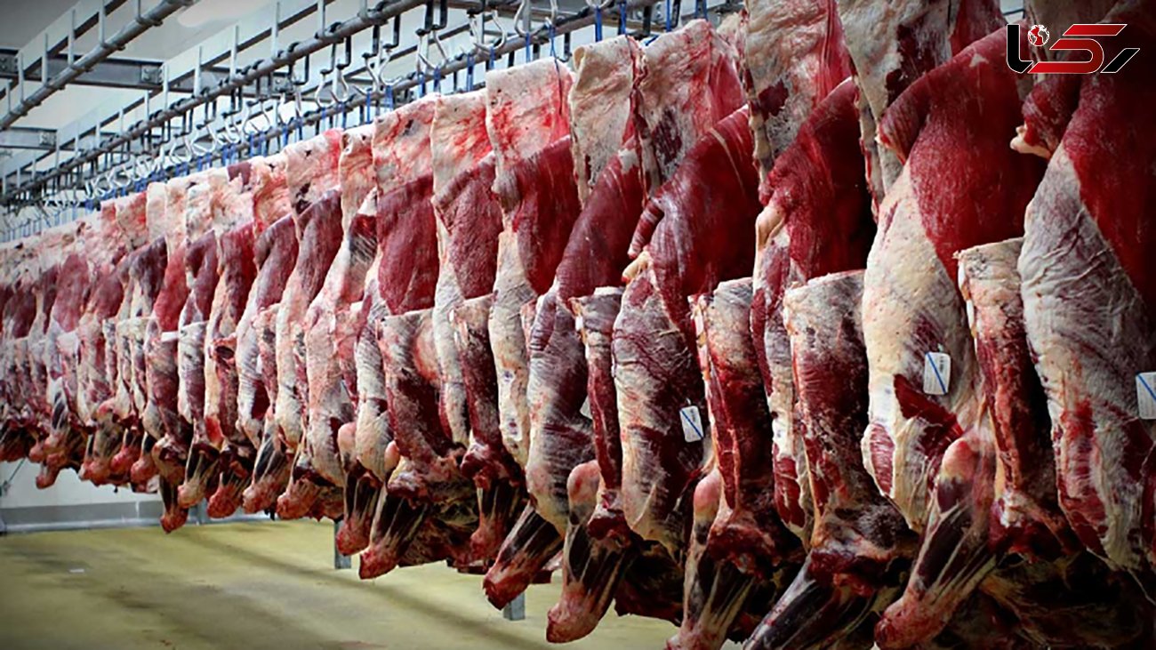 تا 3 ماه آینده قیمت گوشت قرمز در بازار تثبیت می شود / روزی بیش از ۴ هزار دام سبک از کشور قاچاق می‌شود