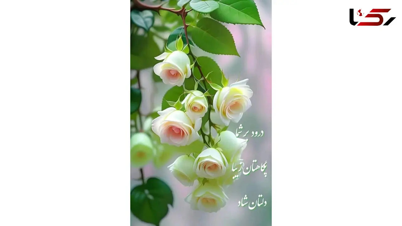 فال و طالع بینی روزانه 10 آذر + فیلم 