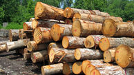 کشف  چوب‌آلات جنگلی قاچاق در اردبیل

