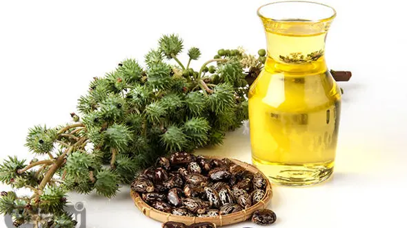 رشد مو،مژه و ابرو با این روغن بی نظیر