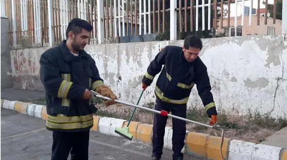 زنده گیری یک حلقه مار در تبریز