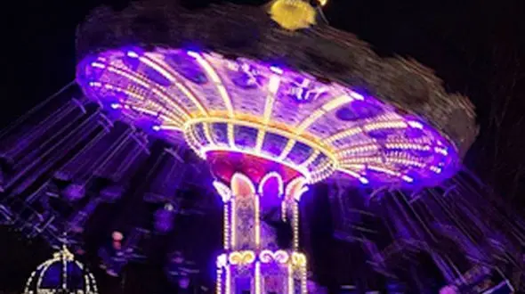 طوطی مفید و بازیگوش 