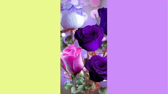 فال ابجد امروز / 29 فروردین ماه + فیلم 