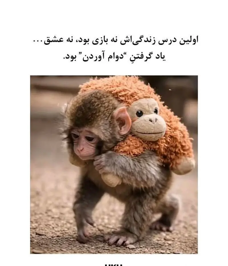 تصویر