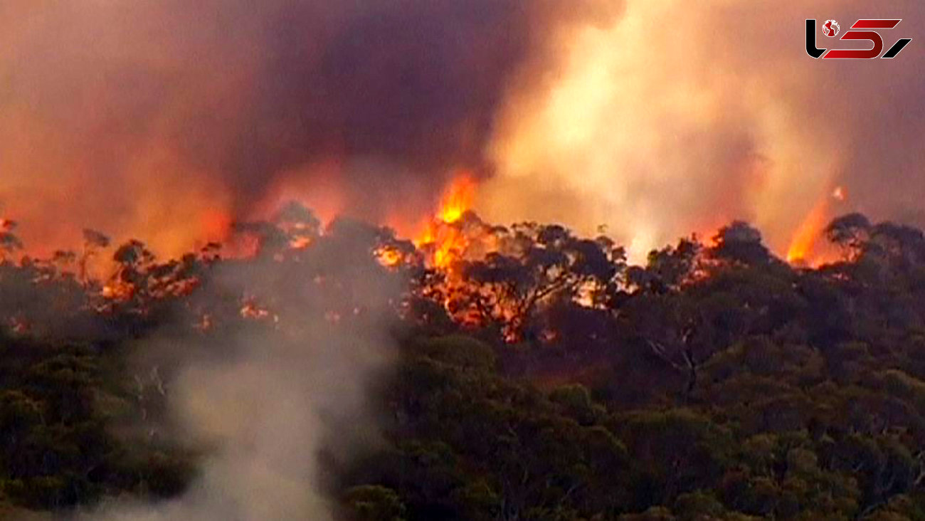 گسترش آتش سوزی جنگل‌ها در جنوب استرالیا