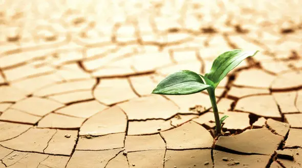 گرما و خشکسالی 400 میلیون نفر را در خاورمیانه تهدید می‌ کند