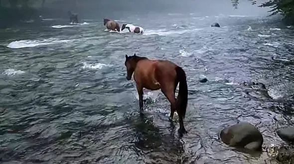 اینجا ایران است نه کوه های آلپ ! + فیلم حیرت انگیز