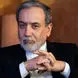 فیلم و عکس  همسر سومو جوان عباس عراقچی و دختر زیبایش / تیپ و استایل همسرش با حجاب خوشرنگش