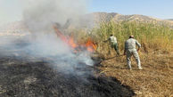 آتش سوزی در تالاب بین المللی "کانی برازان" مهاباد