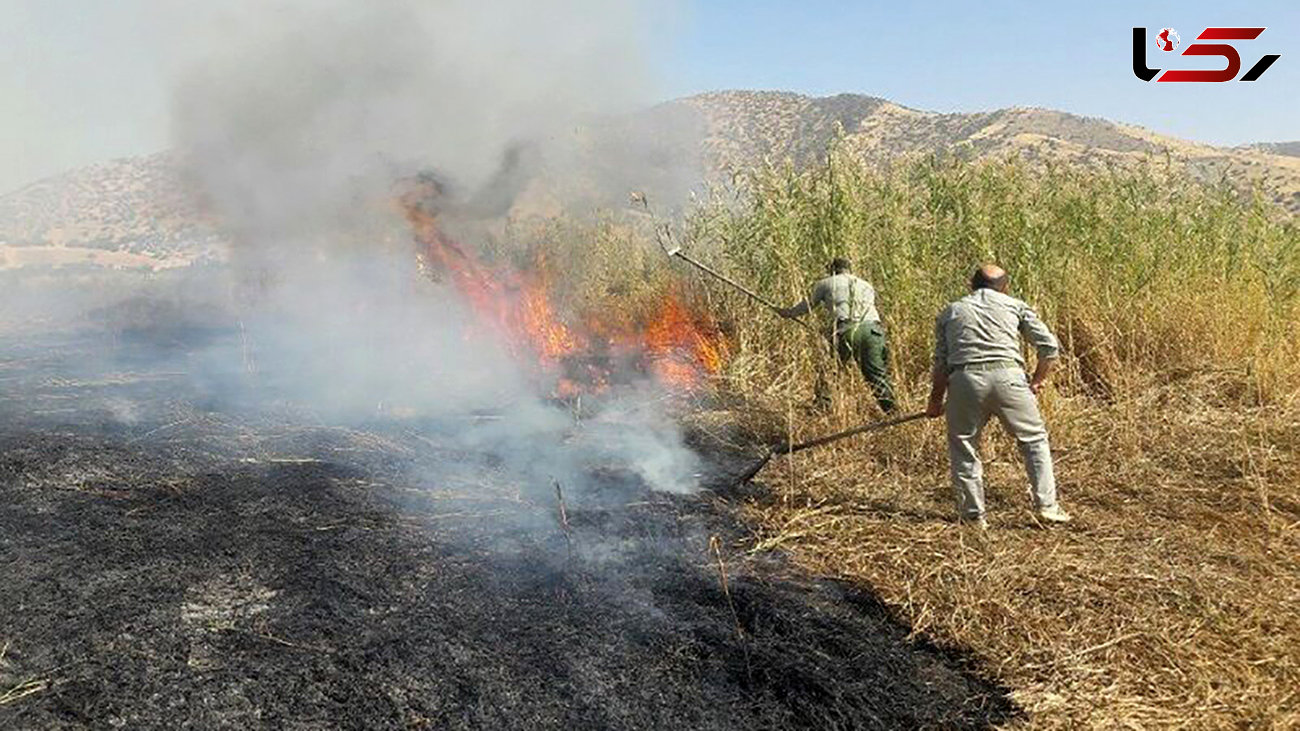 آتش سوزی در تالاب بین المللی "کانی برازان" مهاباد