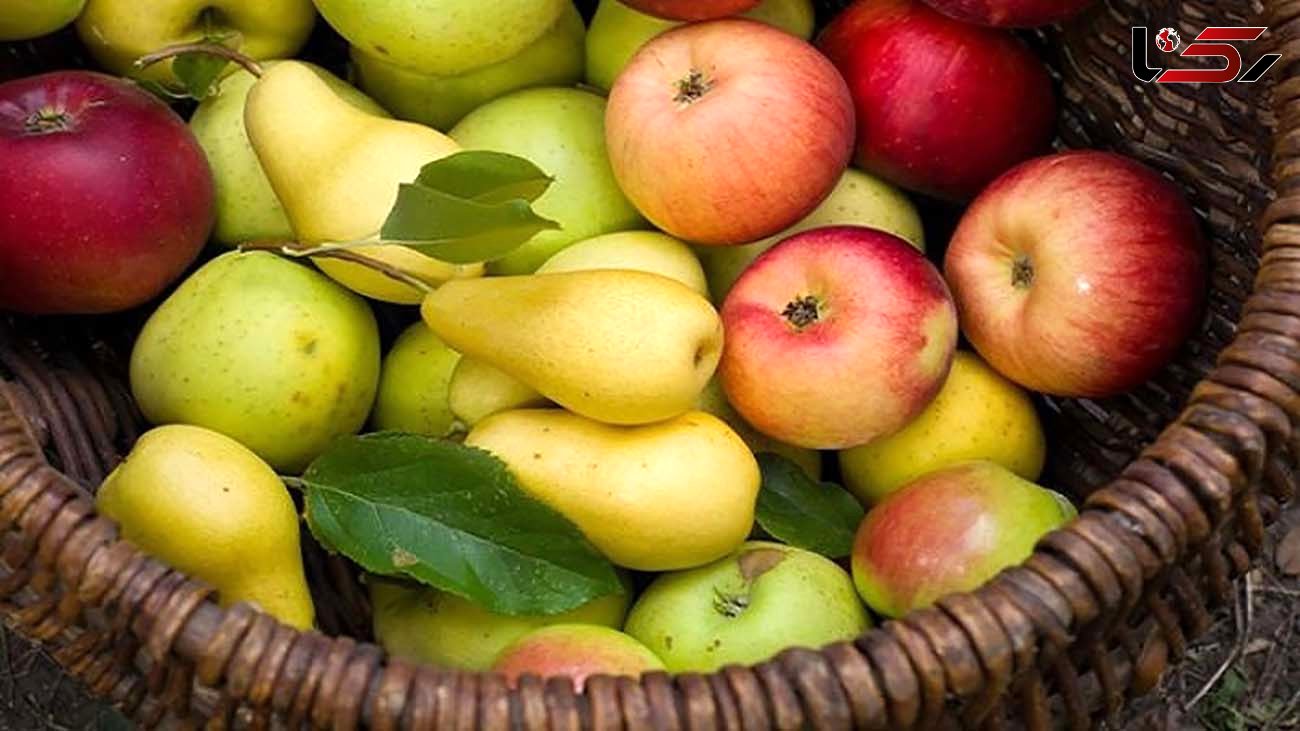 میوه های سرشار از آنتی اکسیدان کدامند؟