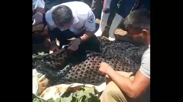 فیلم 16+ / صحنه قتل زن جوان یاسوجی 