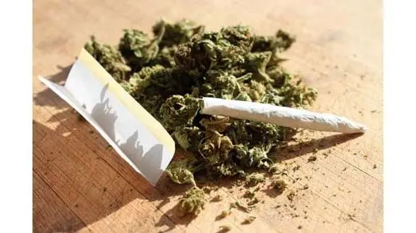 سلیقه ای بودن راه های درمان اعتیاد به گل