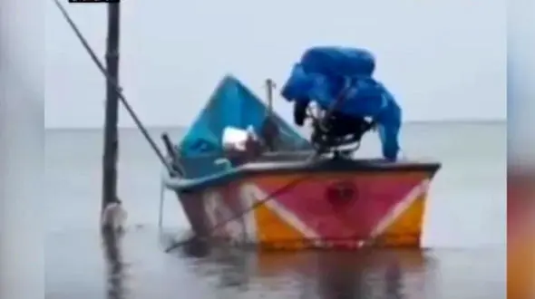 این ماهیگیر یک شبه میلیونر شد + فیلم