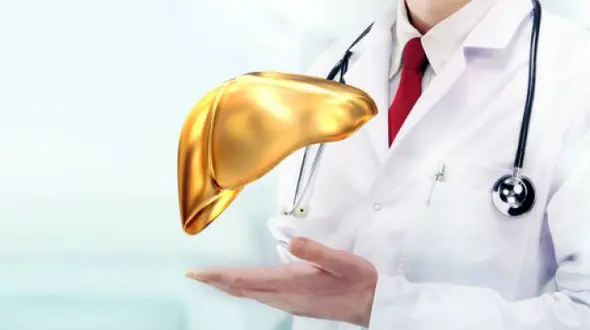 راهکاری برای پاکسازی کبد و سبک شدن بدن در بهار