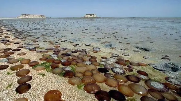 جزیره هندورابی در جنوب ایران + فیلم