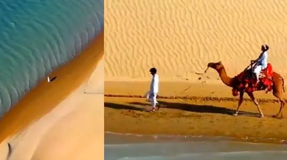 ساحل بندر تَنگ، محل تلاقی کویر و دریا + فیلم