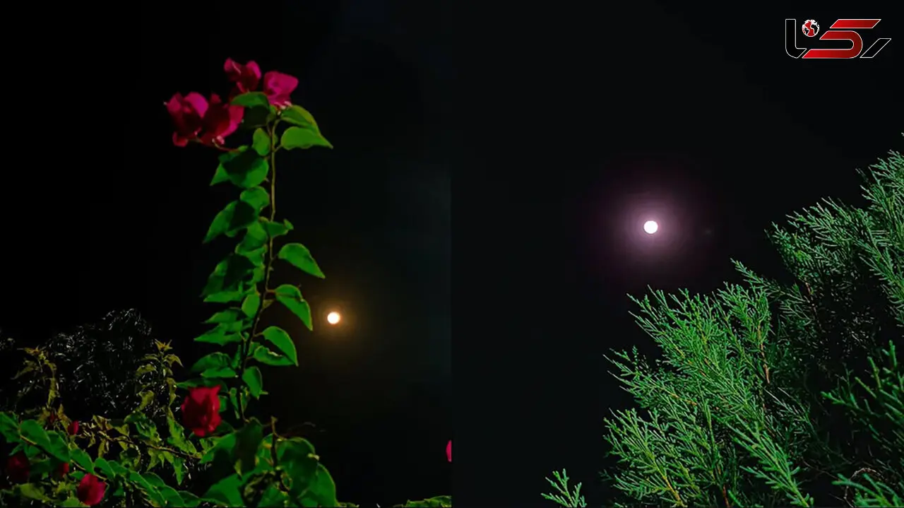 فال ابجد شنبه ۷ شهریور ۱۴۰۵ برای متولدین هر ماه