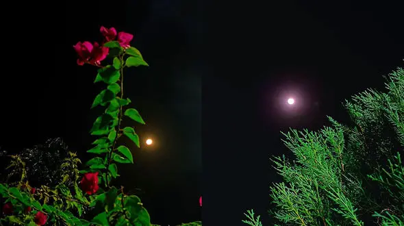 فال ابجد امروز 30 فروردین 1405