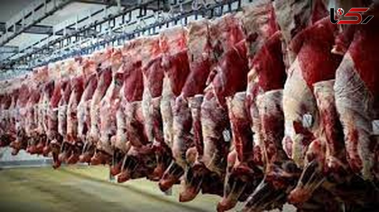 116 کیلو گوشت مرغ غیر قابل مصرف در یکی از کشتارگاه های طیور قزوین معدوم شد
