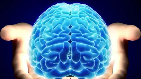 مواظب باشید! این کارها دشمن شماره یک مغز شما هستند