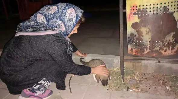 خانم معلم هشترودی چرا معروف شد ؟ / او یک فرشته است 