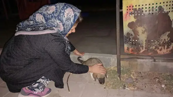 خانم معلم هشترودی چرا معروف شد ؟ / او یک فرشته است 