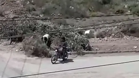 فیلم دزدی خونسردانه در روز روشن با کندن زمین/ در آبادان دستگیر شدند