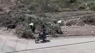 فیلم دزدی خونسردانه در روز روشن با کندن زمین/ در آبادان دستگیر شدند
