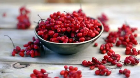 فواید زرشک که هر روز باید بدانید و امتحان کنید!